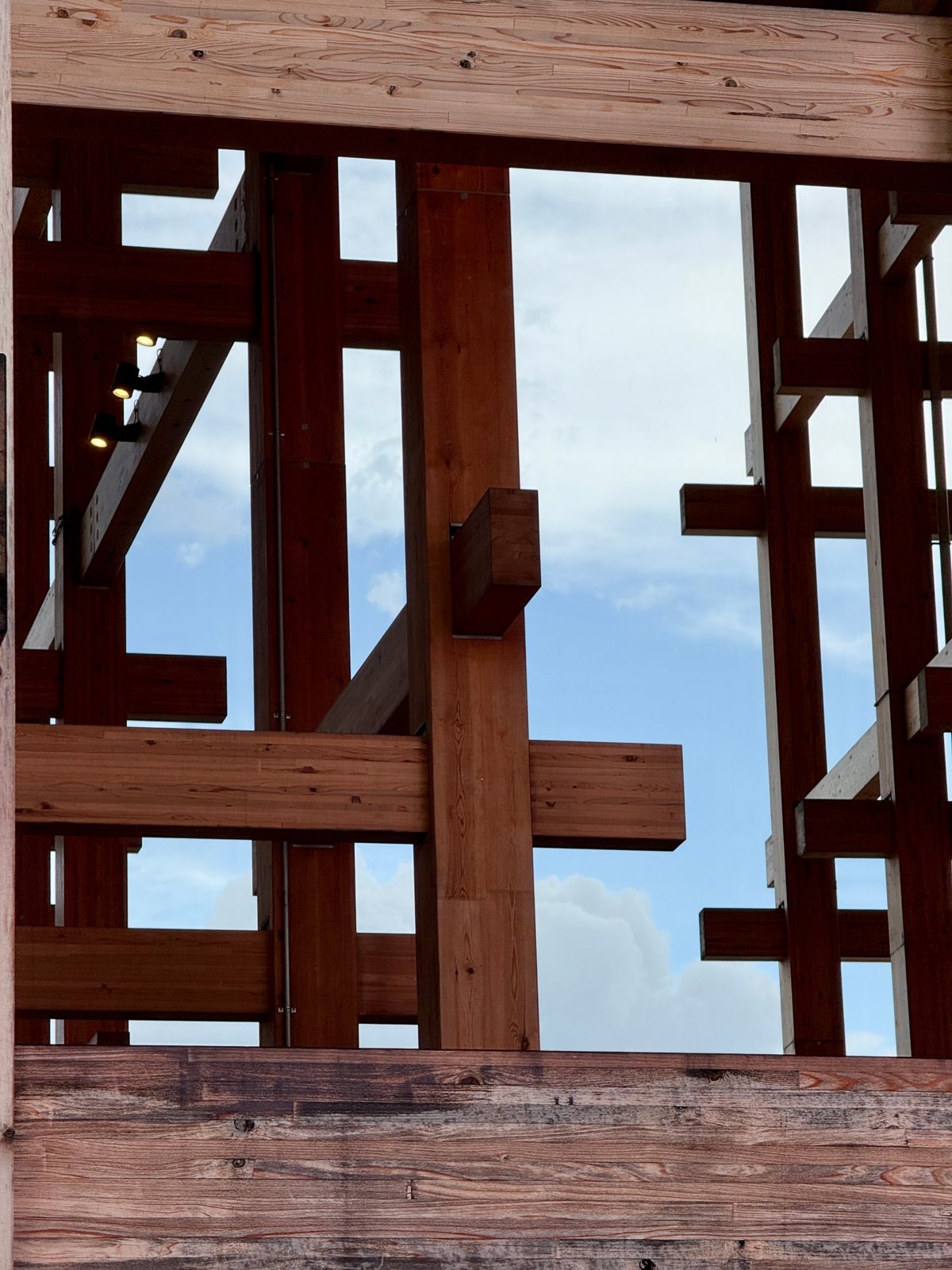 Exposed timber structure framing the sky