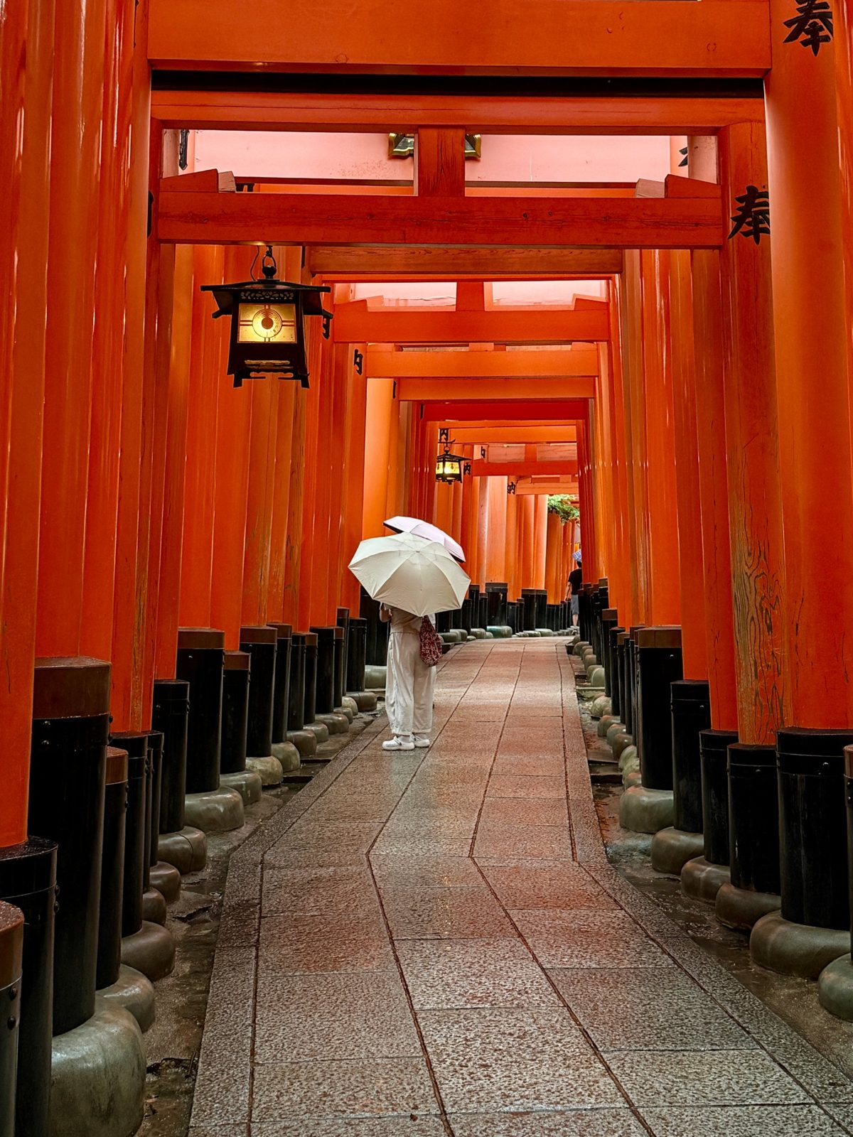 Person with umbrellas in a tunnel of vermilion torii gates