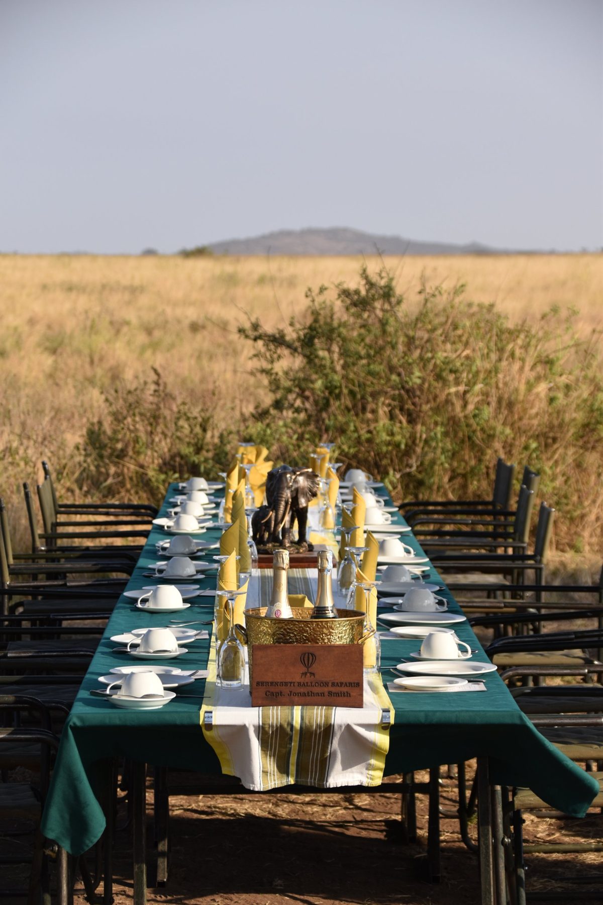 Long breakfast table laid out in the savannah