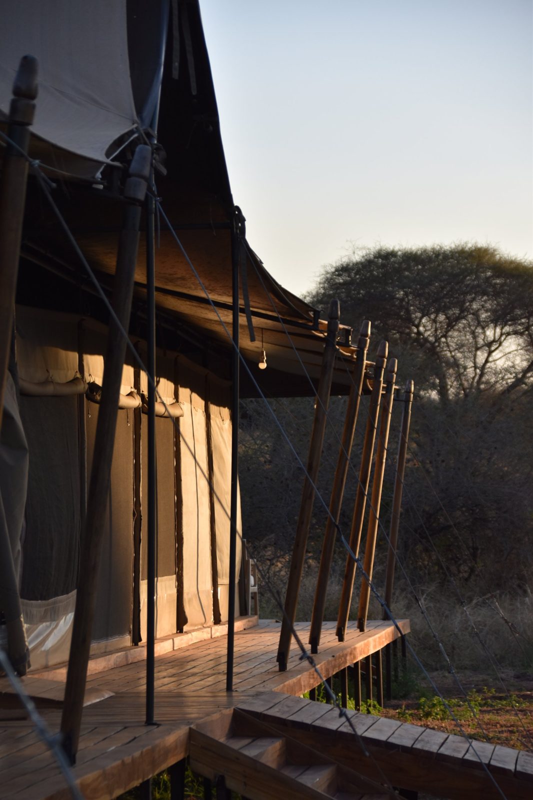 Tented lodge deck with timber poles and guy ropes in golden light